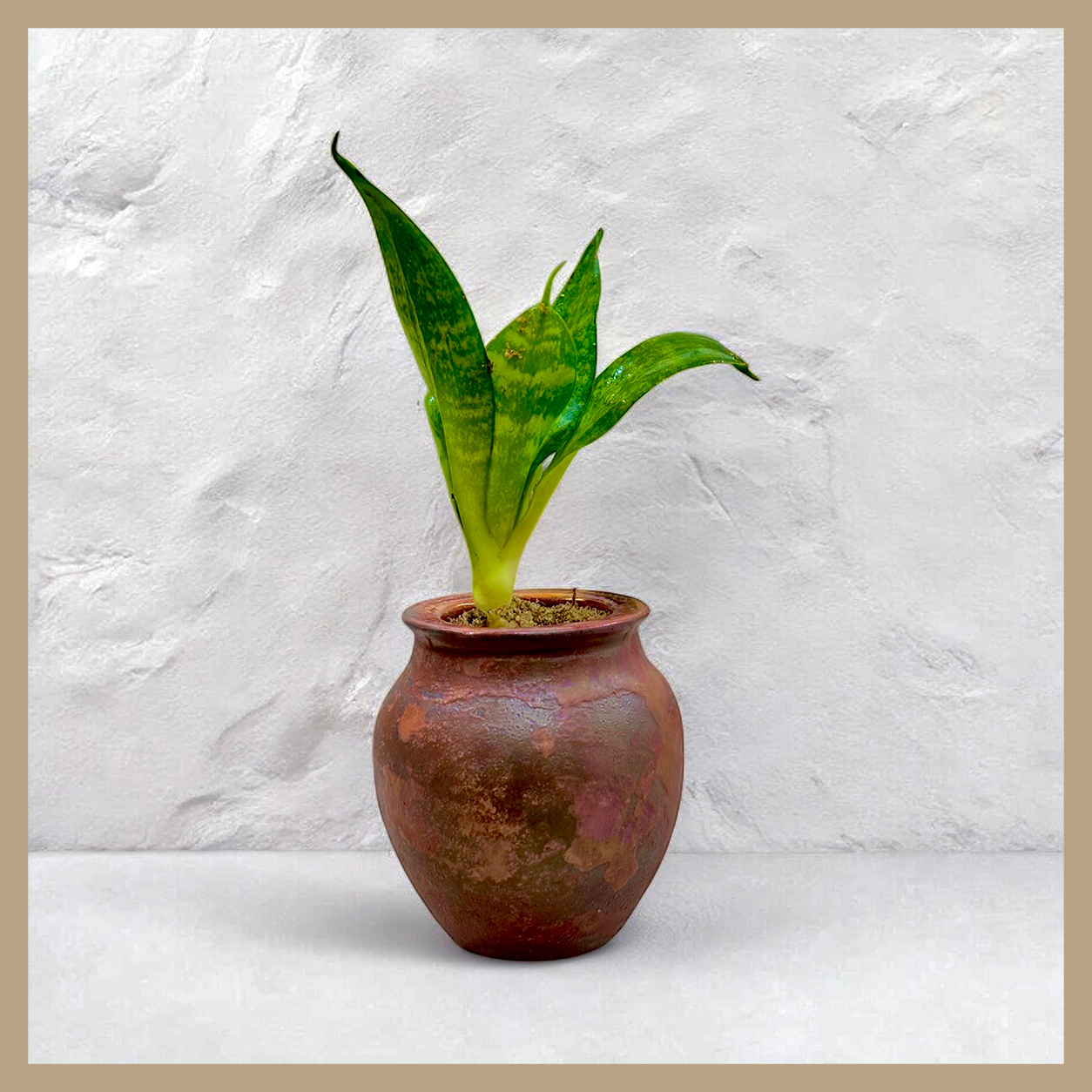 PLANT POT (BROWN)