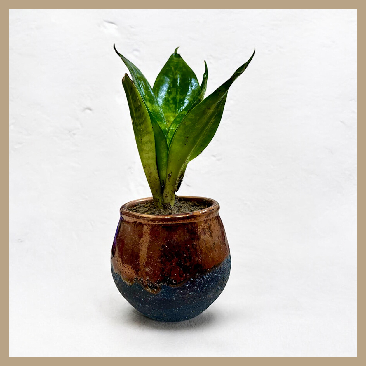 PLANT POT (BROWN-BLUE)